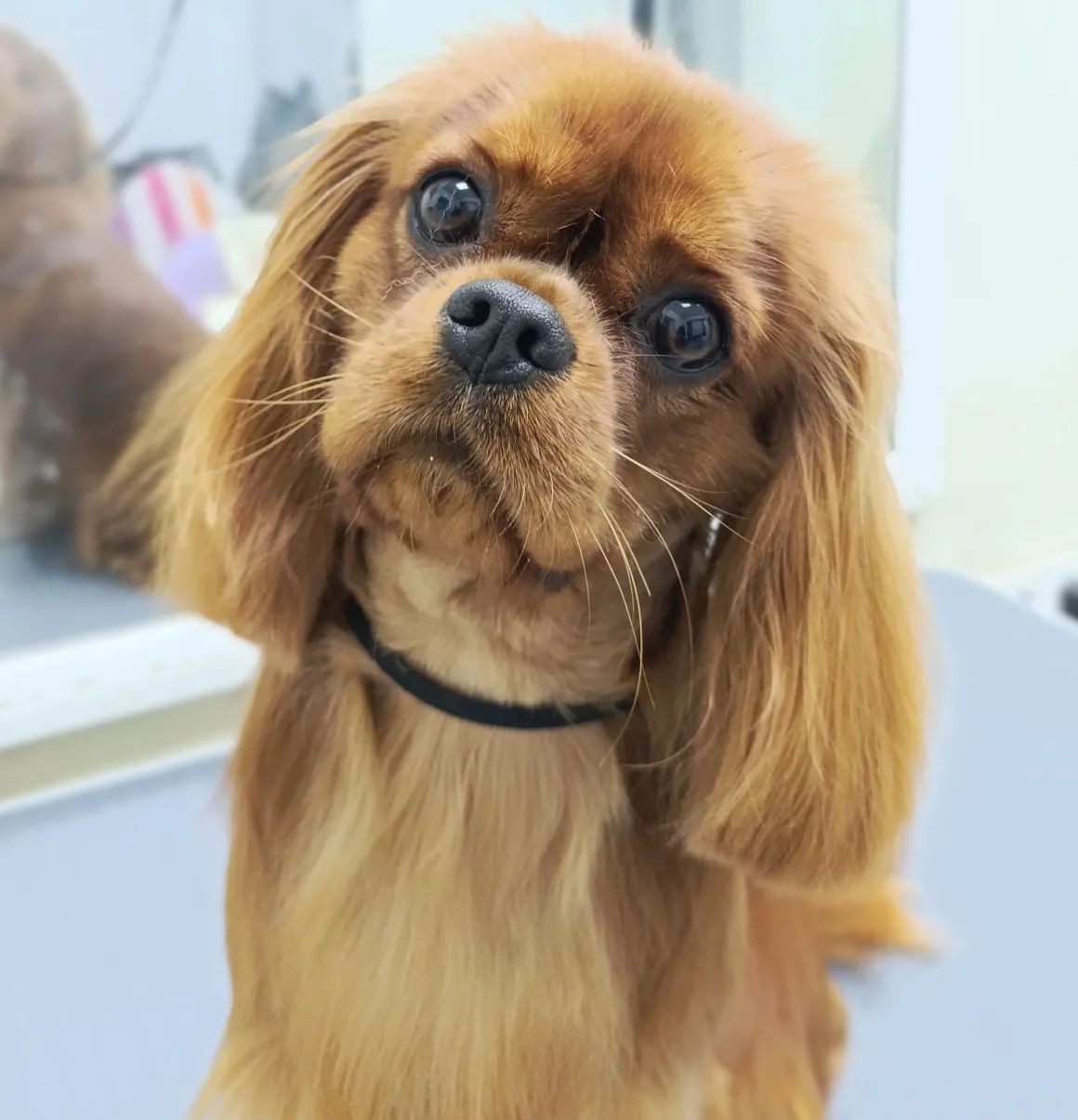 Наши работы